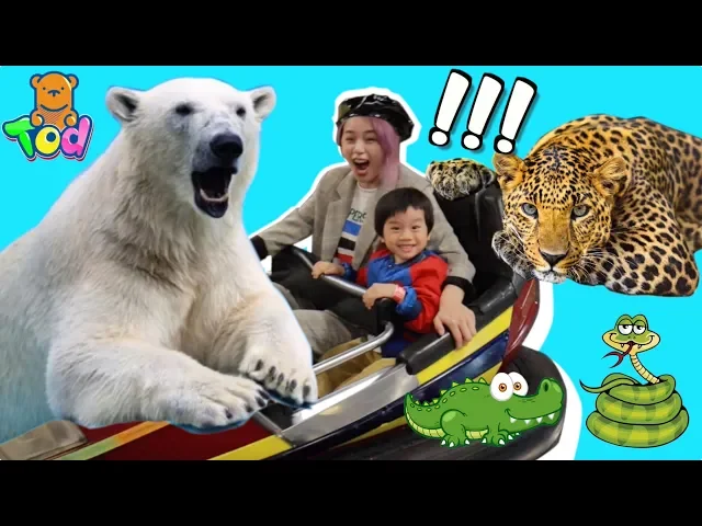 美國動物園看北極熊!第一次坐高空纜車好刺激!kids tour san diego zoo belmont park halloween | 小陶德沛莉 玩具開箱